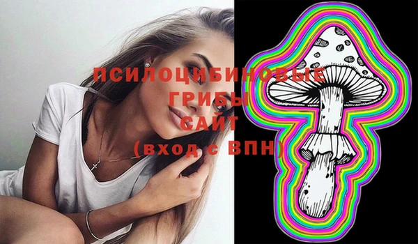 гидропоника Билибино