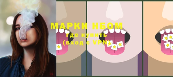 гашик Верея