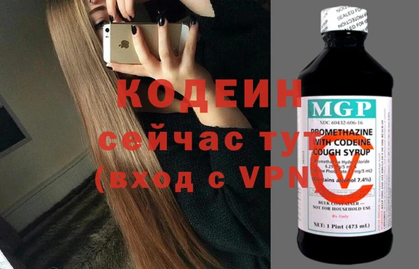 гашик Верея