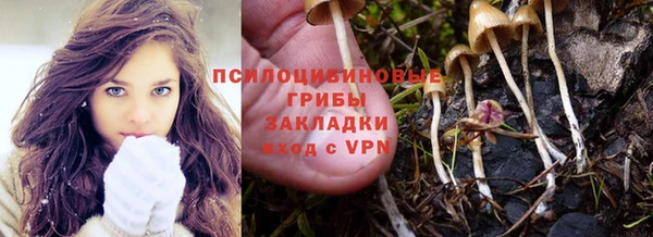 PSILOCYBIN Заводоуковск