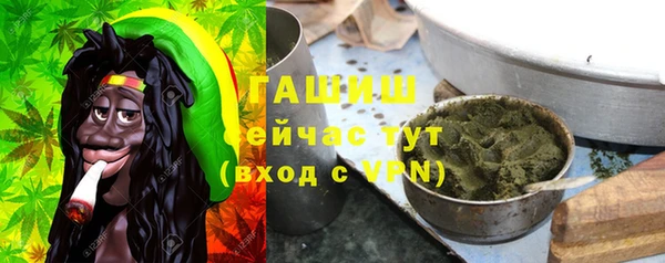 PSILOCYBIN Заводоуковск