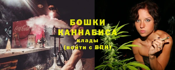 PSILOCYBIN Заводоуковск