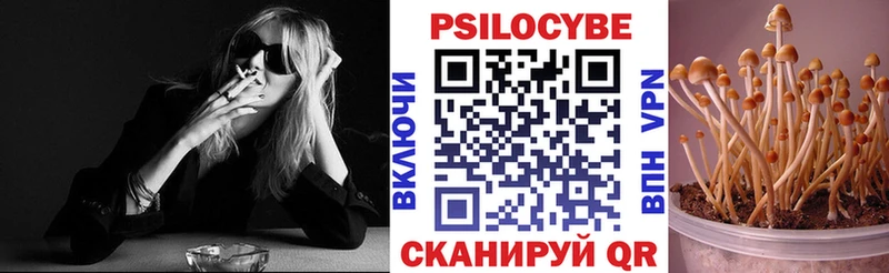 блэк спрут как войти  купить закладку  Бузулук  Галлюциногенные грибы Psilocybine cubensis 
