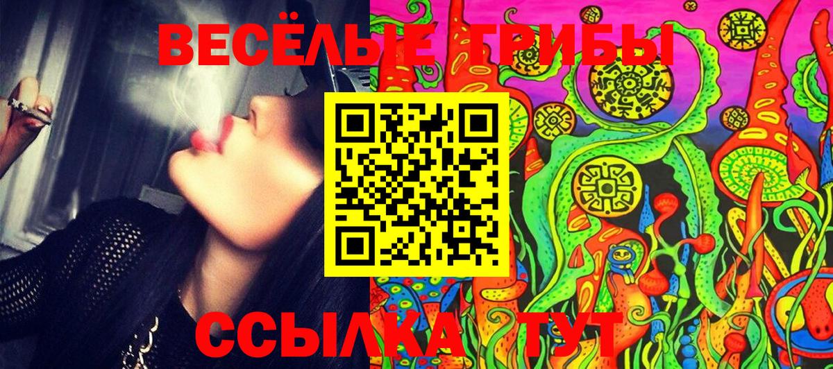 Бузулук  Псилоцибиновые грибы мухоморы  Вход с VPN 